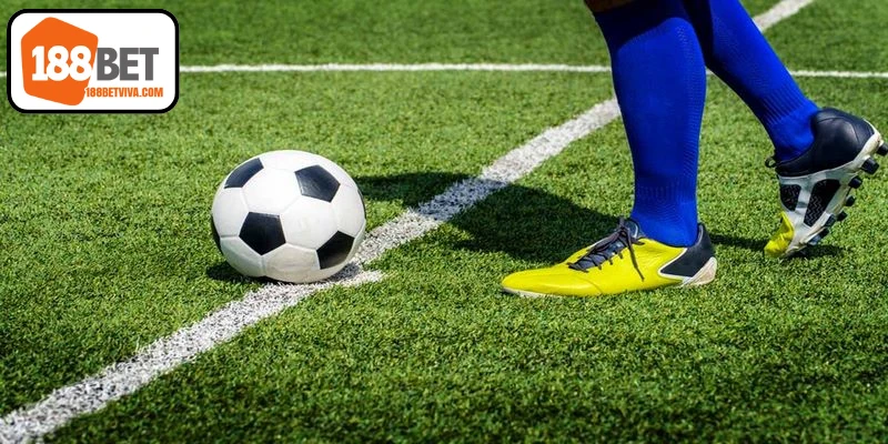 Kinh Nghiệm Cá Cược Bóng Rổ Hiệu Quả Cho Người Mới 18 Phân tích chuẩn trước khi soi tỷ lệ kèo chấp bóng đá